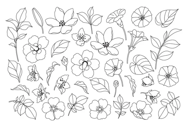 Jednoduché Různé Květiny Pupeny Listy Náčrtek Ručně Kreslené Černé Bílé — Stockový vektor