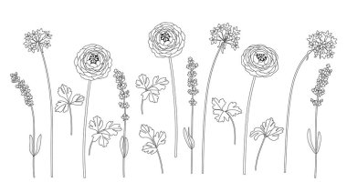 Basit farklı çiçekler ve çizimler. El çizimi siyah ve beyaz çiçek açan dekoratif bitkiler. Çiçek tasarım elementleri seti. Çizgi sanatı botanik vektör çizimi.