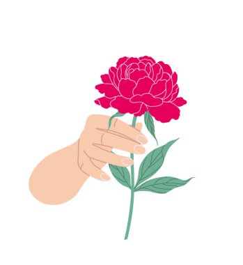 Çiçek açan şakayığın kadın eli. Beyaz arka planda kırmızı çiçekli basit bir kadın eli. Romantik çiçek tasarımı elementi. Vektör düz resimleme.