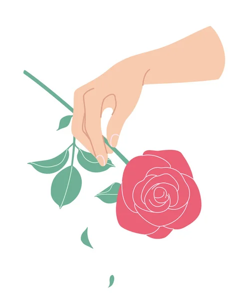 Female Hand Holding Branch Blooming Rose Simple Woman Hand Red — Stock Vector