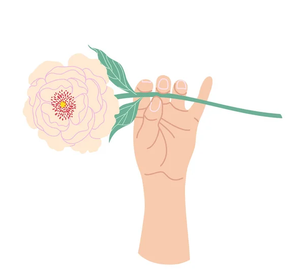 Rama Mano Femenina Peonía Floreciente Mano Mujer Sencilla Con Flor — Vector de stock