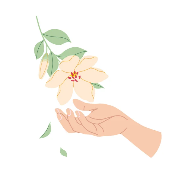 Mano Femenina Toca Flor Tierna Mano Mujer Sencilla Con Rama — Vector de stock