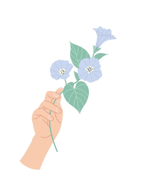 ビンディードの女性の手の枝を保持 白い背景に隔離された繊細な青のコンボバルスを持つシンプルな女性の手 ロマンチックな花のデザイン要素 ベクトル平図 — ストックベクタ