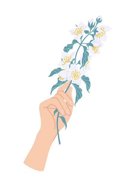 Yasemin Çiçeğinin Kadın Ele Tutuşması Beyaz Arka Planda Izole Edilmiş — Stok Vektör