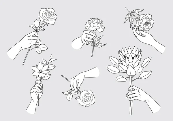 Weibliche Hände Berühren Und Halten Verschiedene Blumen Frauenhände Und Blühende — Stockvektor