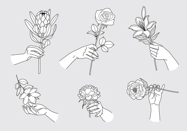 Weibliche Hände Berühren Und Halten Verschiedene Blumen Frauenhände Und Blühende — Stockvektor