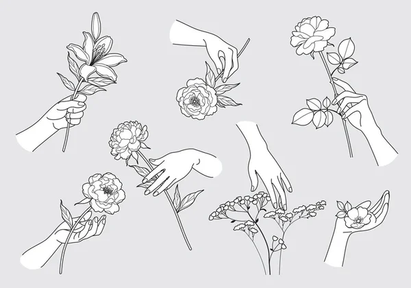 Manos Femeninas Tocando Sosteniendo Diferentes Flores Conjunto Manos Mujer Flores — Vector de stock