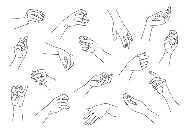 さまざまな位置にモノクロの女性の手のコレクション 概要女性の手をセット 白黒ベクトルイラスト — ストックベクタ