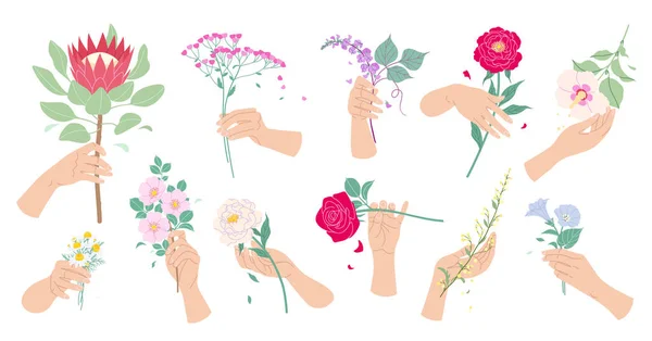 女性の手を触れ 花を保持します 夏の植物や女性の手でカラフルな花の組成のセット 装飾的なデザイン要素のコレクション ベクトル平図 — ストックベクタ