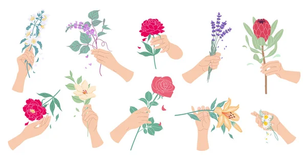 Manos Femeninas Tocando Sosteniendo Racimos Flores Flor Conjunto Colorida Composición — Archivo Imágenes Vectoriales
