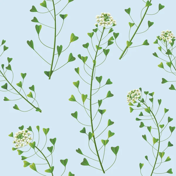 Wildflowers pattern — Stock Vector