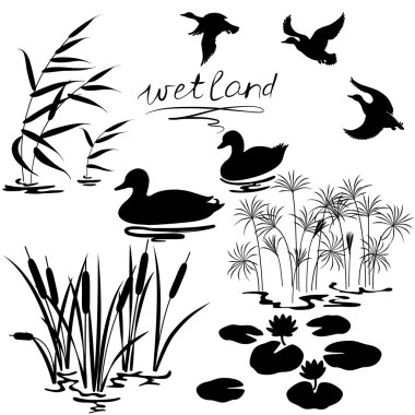 Wetland plants and birds set clipart