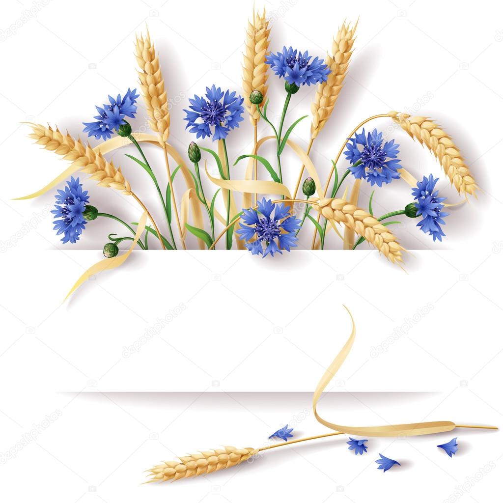 Wheat ears and cornflowers