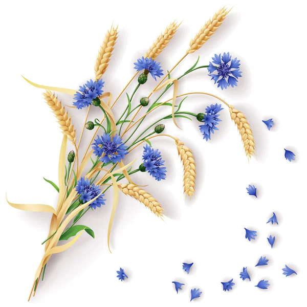 Cornflowers and wheat ears bunch — Stock Vector