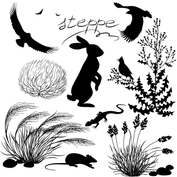 Steppe plants and animals set — Stock Vector