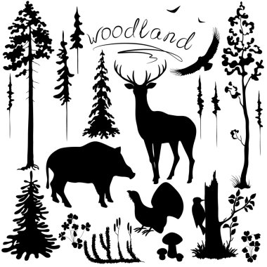 Woodland plants and animals set clipart