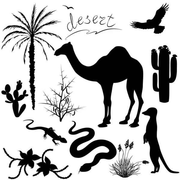 Conjunto de plantas e animais do deserto — Vetor de Stock