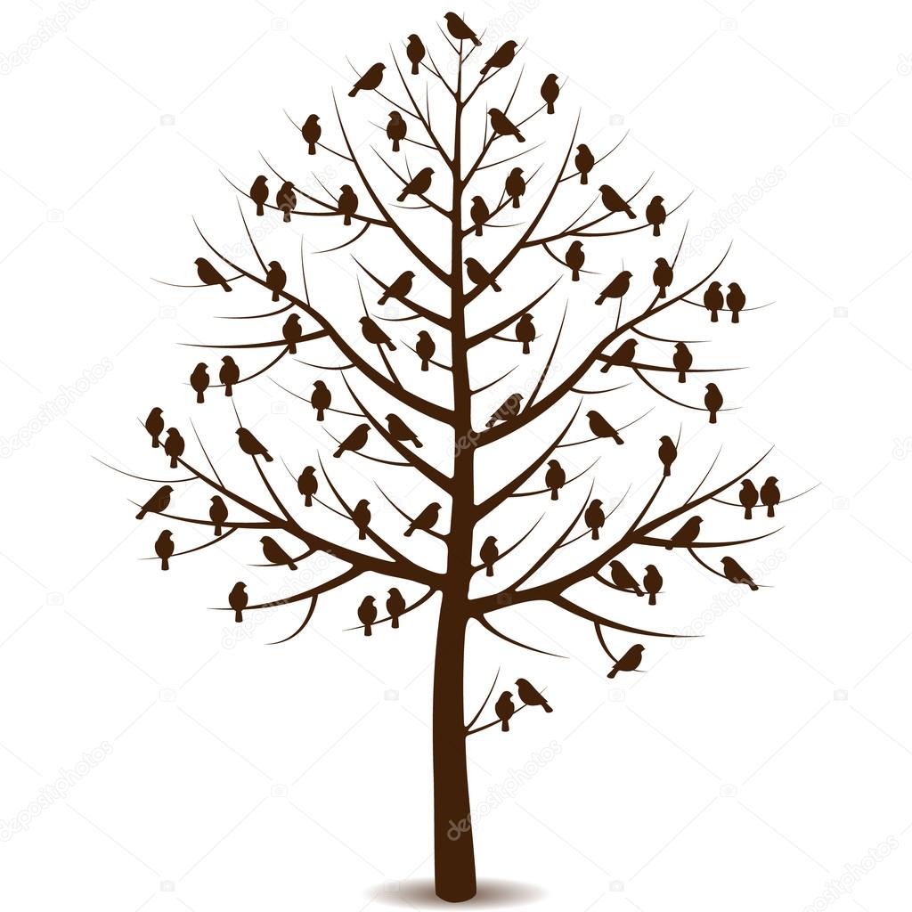 Birds on branches of tree