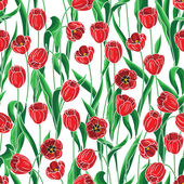 zökkenőmentes minta vörös tulipánnal