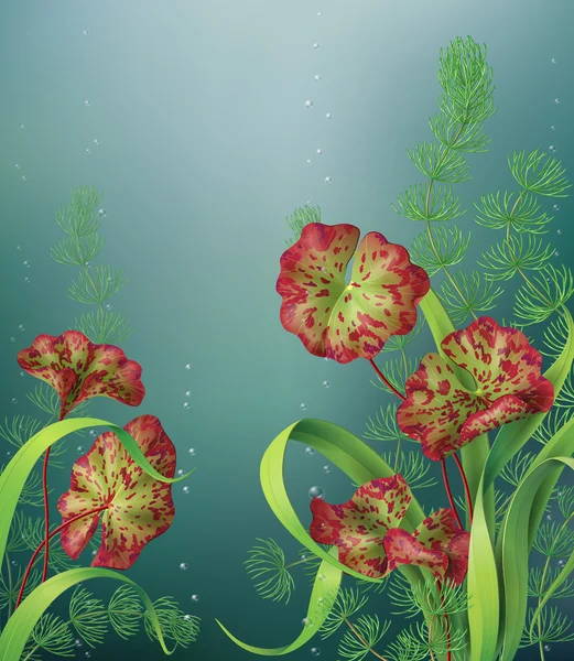 Подводный фон с водными растениями — стоковый вектор