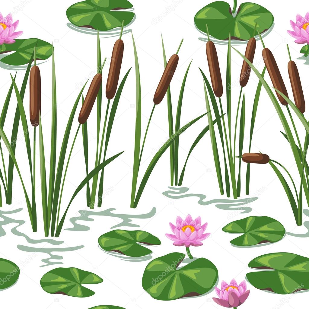 Wetland plants background