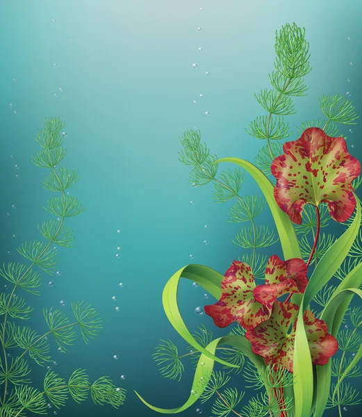 Underwater Background with sea plants. — Stock Vector