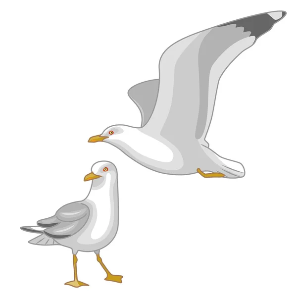 Flying and Walking Seagulls — Stock Vector