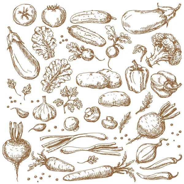 Skizze von Gemüse-Set — Stockvektor