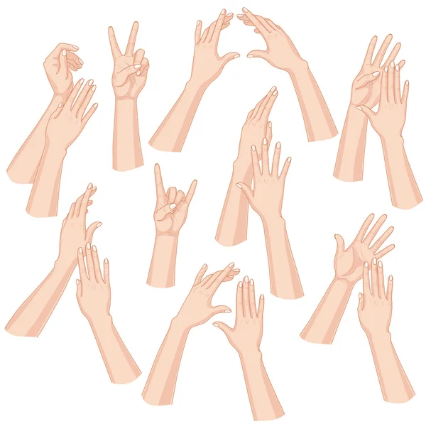 Ensemble mains de femme — Image vectorielle