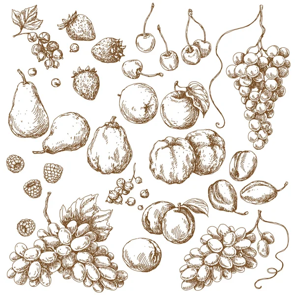Ensemble de croquis de fruits — Image vectorielle