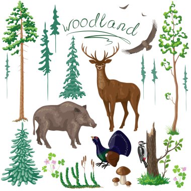 Woodland Plants and Animals Set clipart