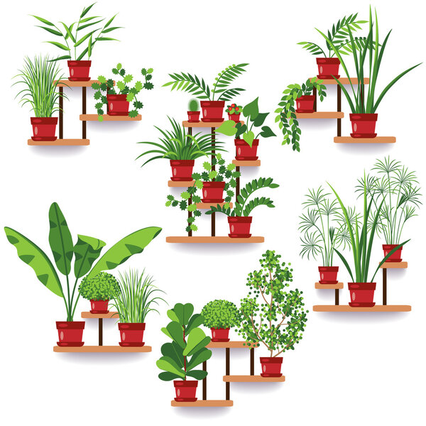 Set de plantas de maceta — Vector de stock