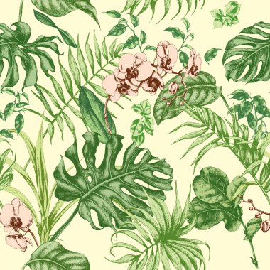 tropik bitkiler sorunsuz arka plan.