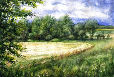 Buğday alan görünümünü yaz.