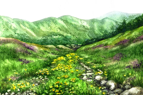 Vista de verão do vale da montanha . — Fotografia de Stock