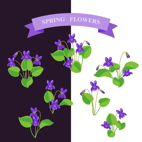 Ensemble de fleurs chien-violet — Image vectorielle