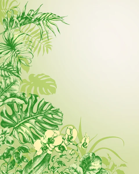 Natürlicher Hintergrund mit tropischen Pflanzen. — Stockvektor
