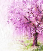 Virágzó Sakura fa.
