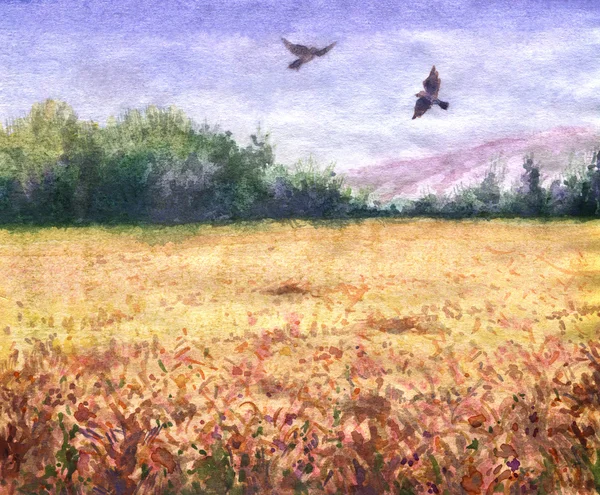 Summer view of the wheat field and flying birds. — Stock Photo, Image