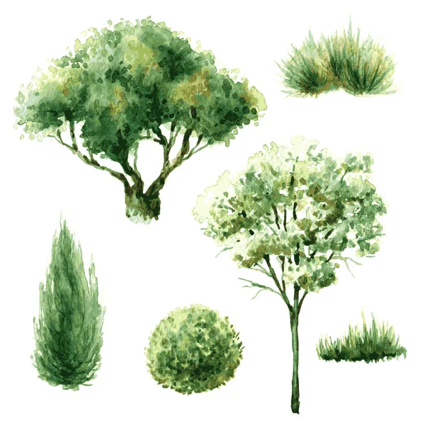 Conjunto de árvores verdes e arbustos . —  Vetores de Stock