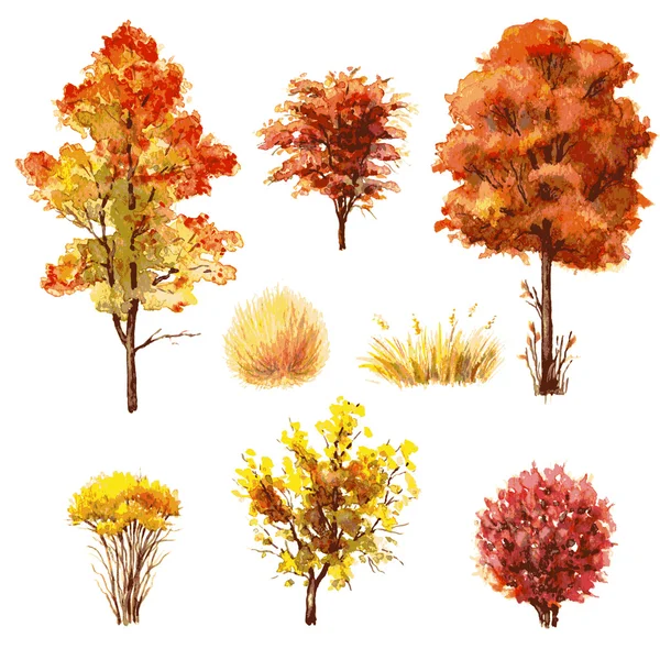 Zestaw jesienią drzew i krzewów. — Wektor stockowy