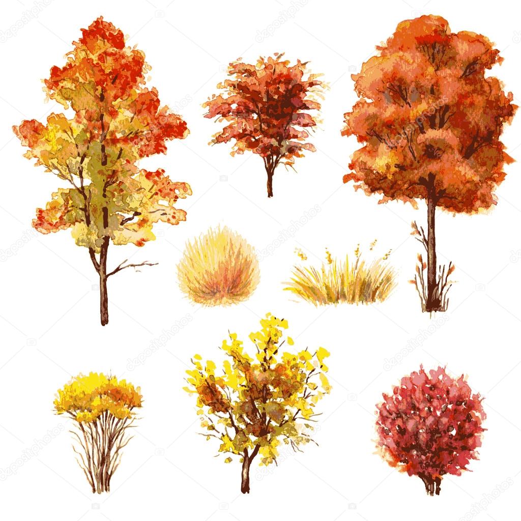 Set of autumn trees and bushes.