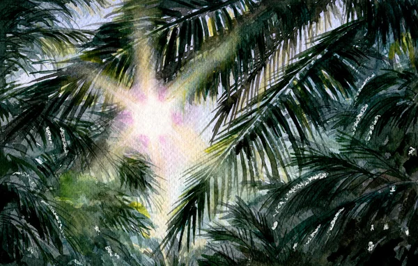 棕榈和太阳的分支. — 图库照片