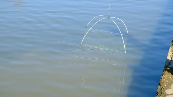 Pesca Atacar Aranha Homem Pega Peixe Com Uma Rede Pesca — Vídeo de Stock