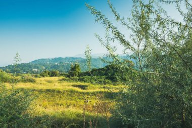 Bulutlardaki dağlara bakan bir panorama. Kafkas Dağları 'nın manzarası. Düş! Georgia Günü.
