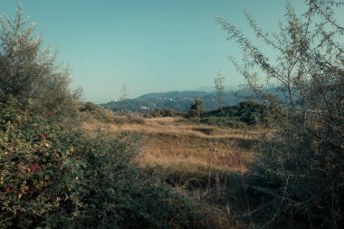 Bulutlardaki dağlara bakan bir panorama. Kafkas Dağları 'nın manzarası. Düş! Georgia Günü.