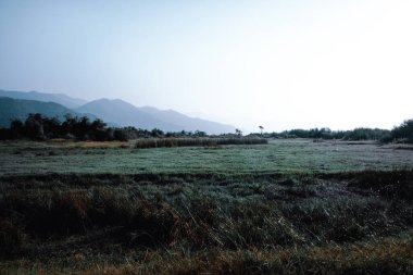 Bulutlardaki dağlara bakan bir panorama. Kafkas Dağları 'nın manzarası. Düş! Georgia Günü.