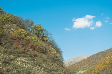 Bulutlardaki dağlara bakan bir panorama. Kafkas Dağları 'nın manzarası. Düş! Georgia Günü.