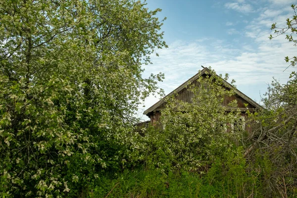 버려진 통나무집 러시아의 황폐화 마을입니다 사람없는 외로운 오두막 퇴적된 하늘을 — 스톡 사진