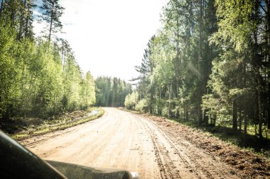 Karelian taygası arasındaki yol. Yolun kenarındaki çam ormanı. Karelia 'ya bir gezi. Ağaçların arasında otoyol. Güzel yerlere gezintiye çıkmak. Karelia. Gün.